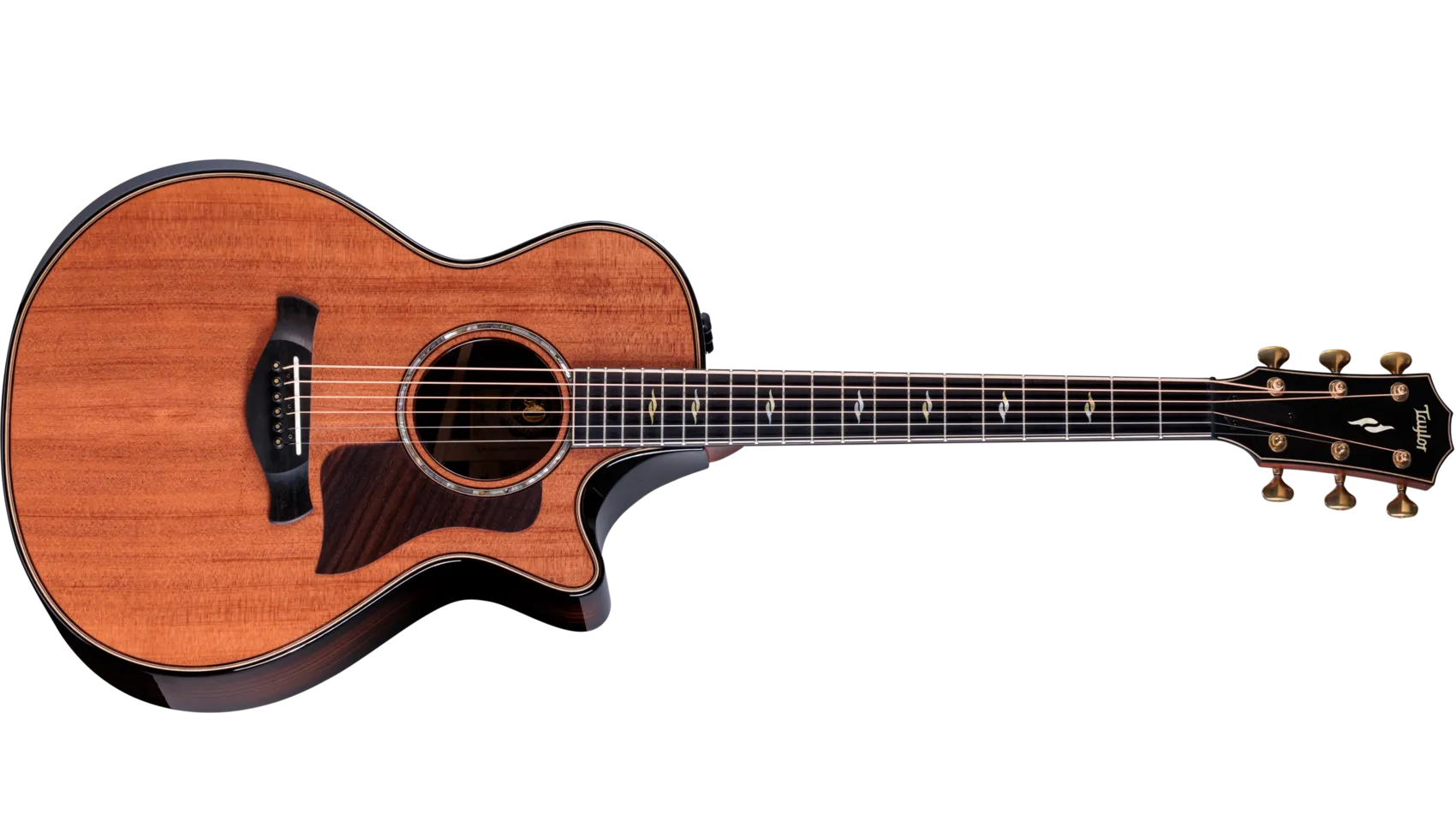 50th Anniversary Builder's Edition 812ce LTDIndian Rosewood